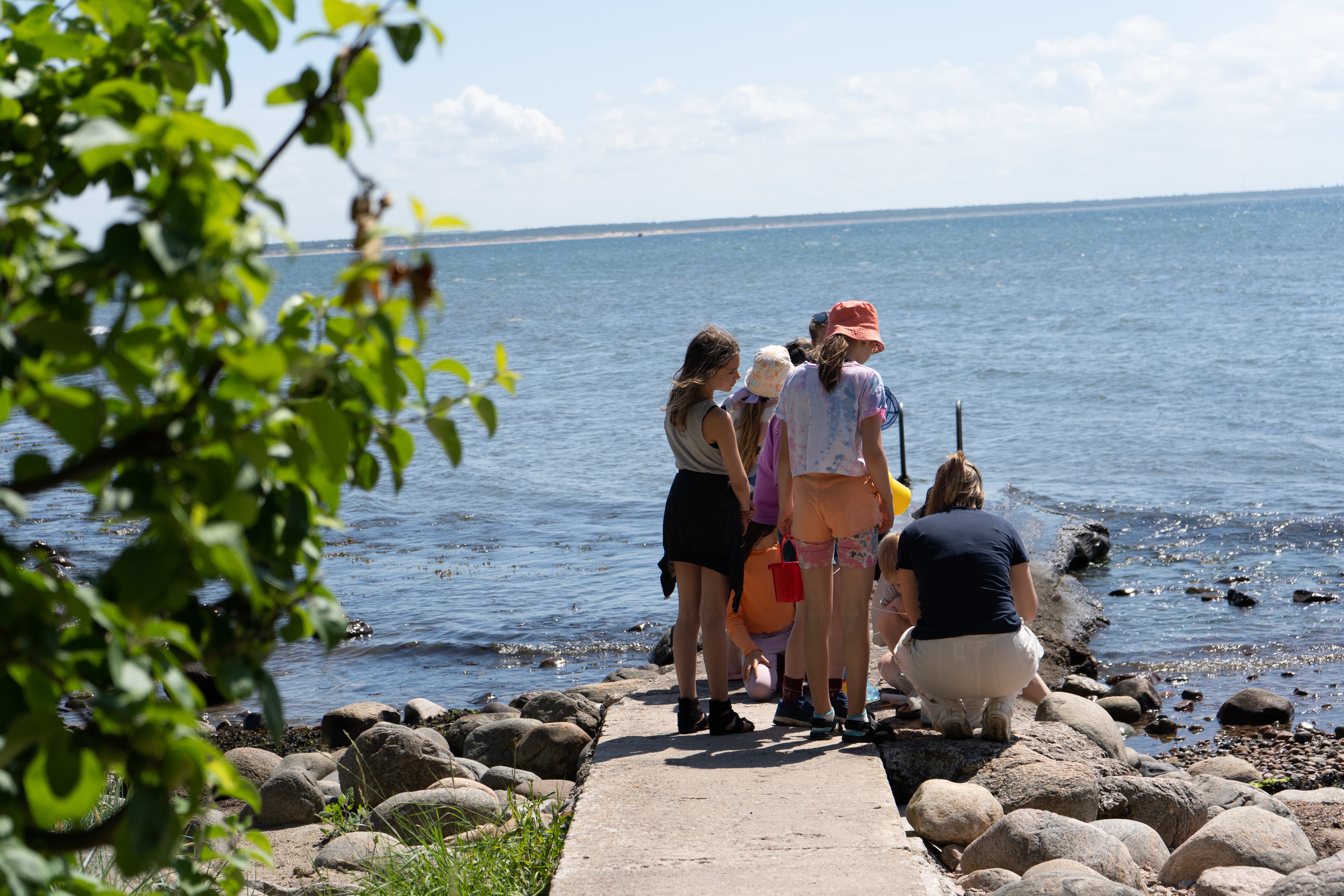 barn på en brygga vid havet, en solig sommardag