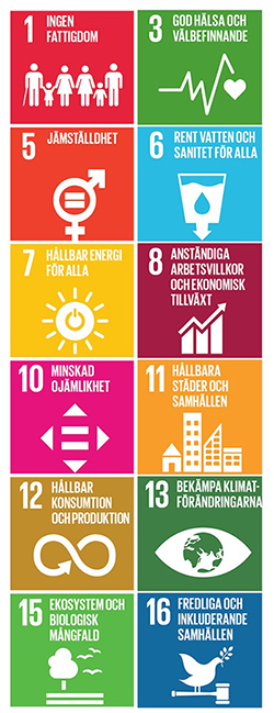 Ikoner för FN:s globala mål