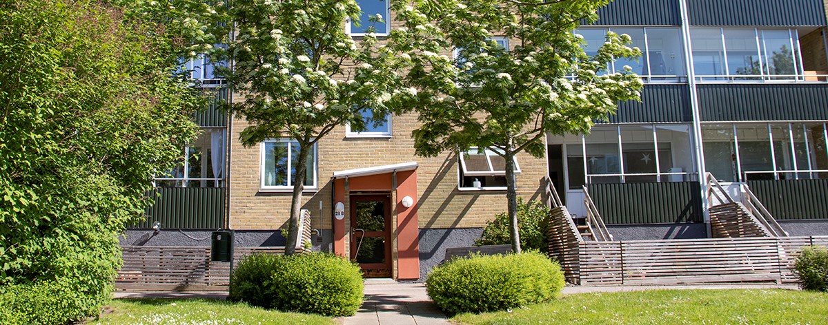 Rönneberga