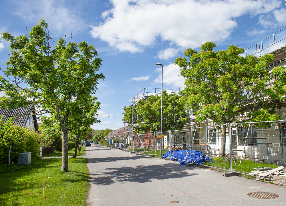 Järnvägsgatan i Löberöd med vackra lönnträdd